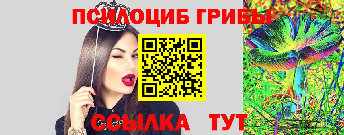 Псилоцибиновые грибы прущие грибы  Вход с VPN  Псилоцибиновые грибы GOLDEN TEACHER  Ржев 