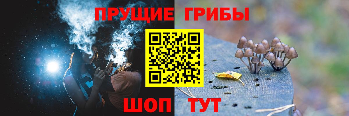 Галлюциногенные грибы MAGIC MUSHROOMS Ржев